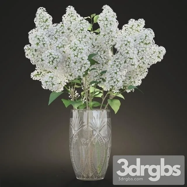 Lilac White Bouquet 3D Model Free