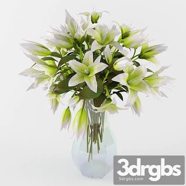 Lilii 6 3D Model Free