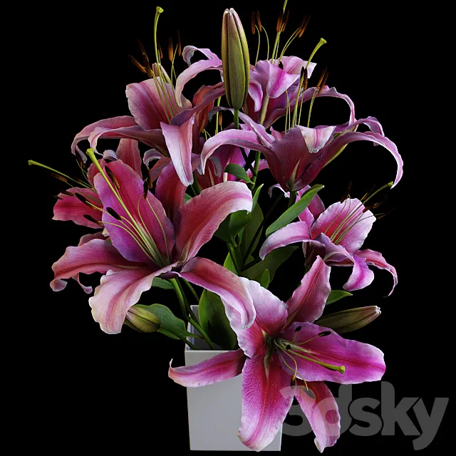 Lily bouquet Free Download