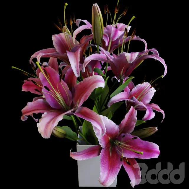 Lily bouquet 3D Model