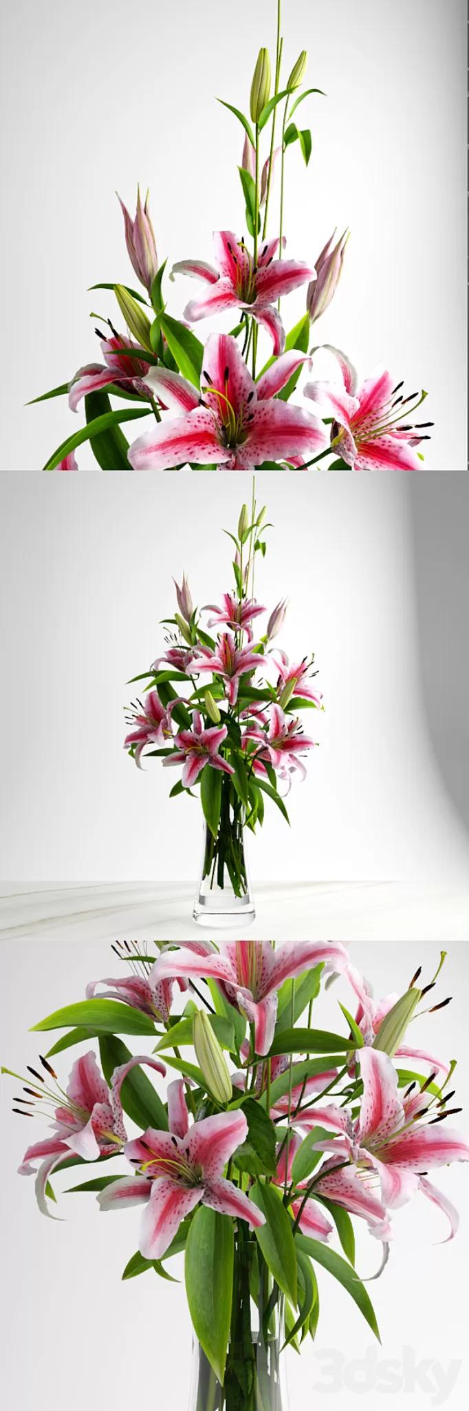 Lily bouquet 3D Model
