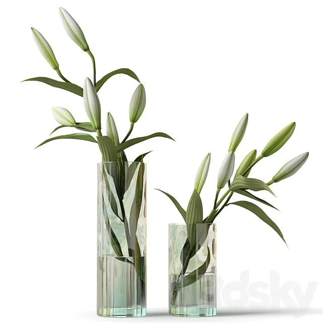 Lily in a glass vase Free Download