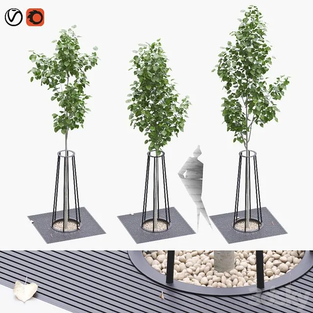 Linden seedlings in a tree-trunk lattice 3D Model