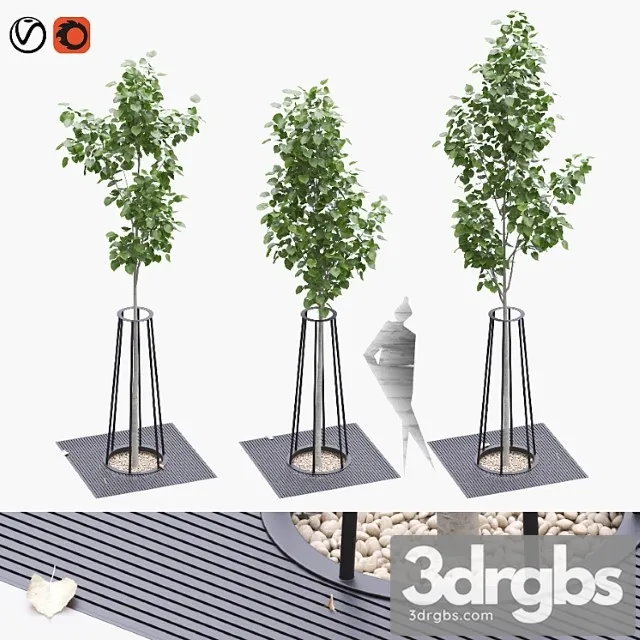 Linden Seedlings in a Tree Trunk Lattice 3D Model Free