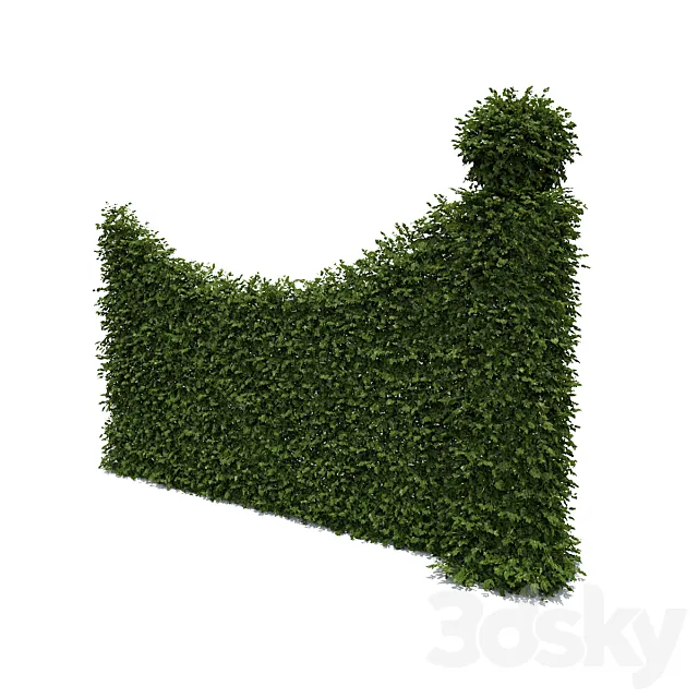 Living fence 3DModel