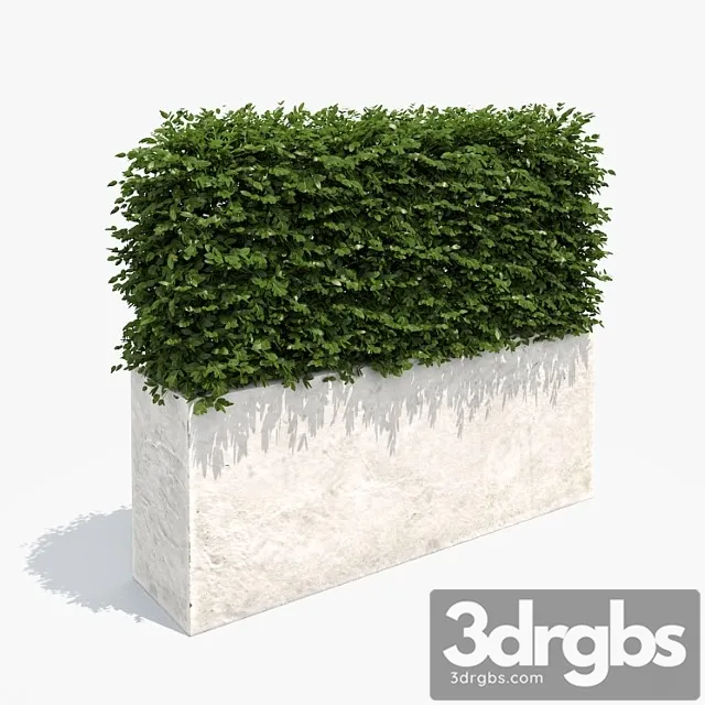 Living Izgorod In White Plantierie 3D Model Free