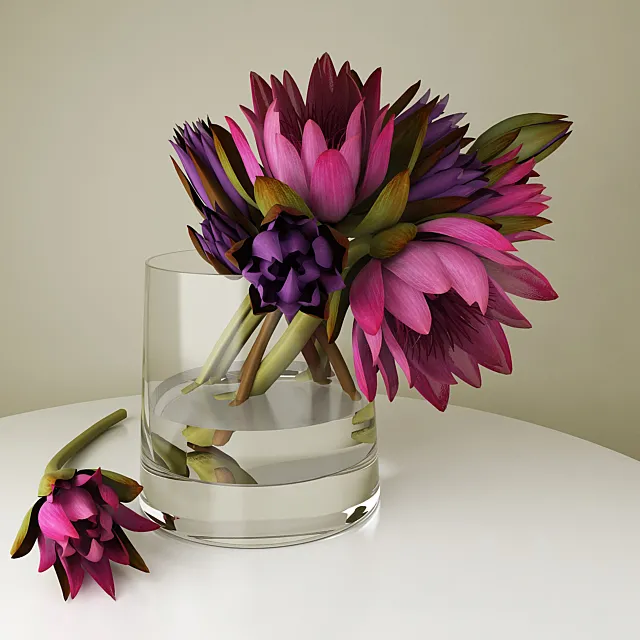 lotuses Free Download