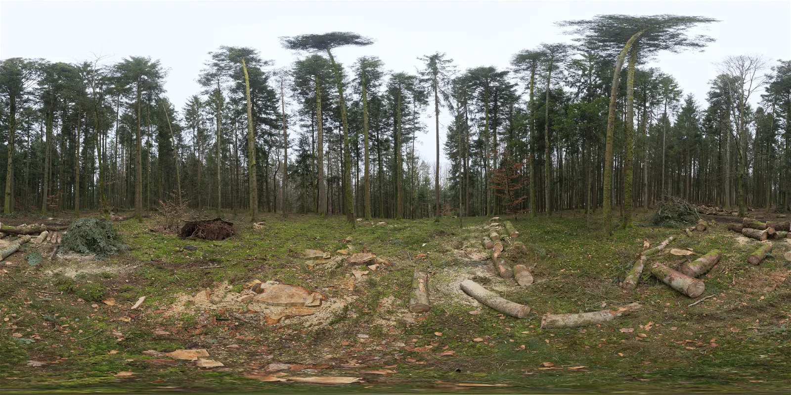 HDRI outdoor FREE DOWNLOAD 