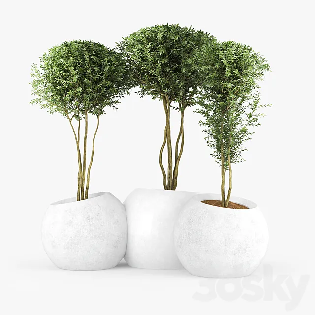 LT CONCRETE PLANTER _ ROUND _ MODULAR _ CONTEMPORARY ESFERA BY EMILIANA DESIGN 3D Model
