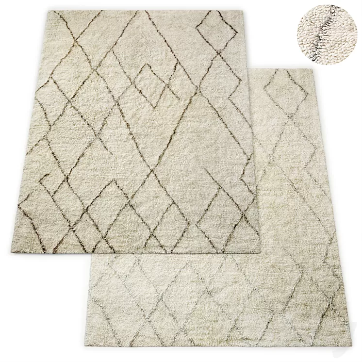 Lumina Sketched Hand-Knotted Wool Shag Rug RH Collection 3D Model