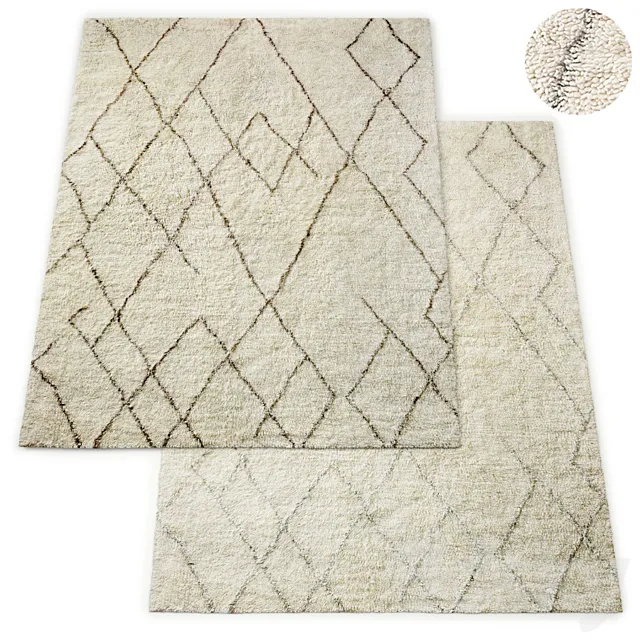 Lumina Sketched Hand-Knotted Wool Shag Rug RH Collection 3DModel