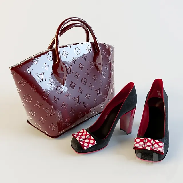 LV bag and shoes 3DModel