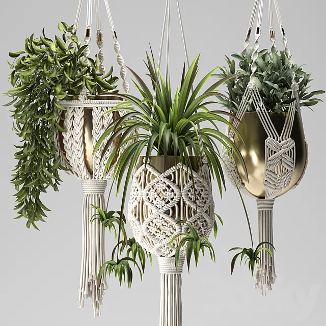 Macrame Plant Hangers 3D Model