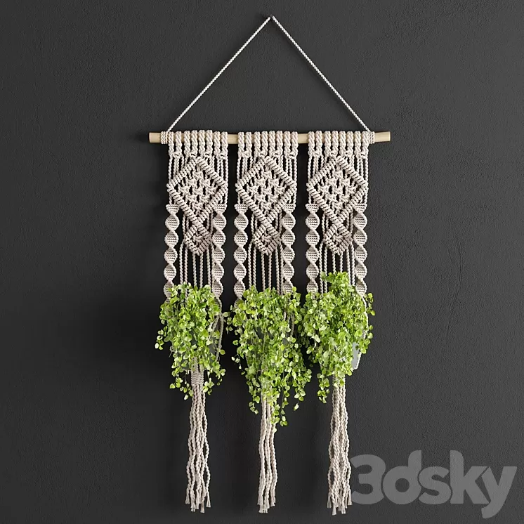 Macrame Planter