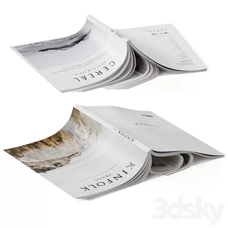 Magazines cover up 3D Model