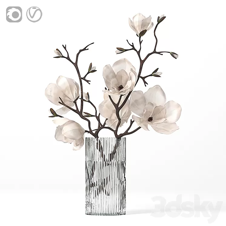 Magnolia 3D Model