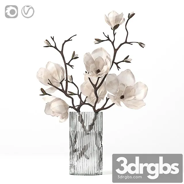 Magnolia 3D Model Free