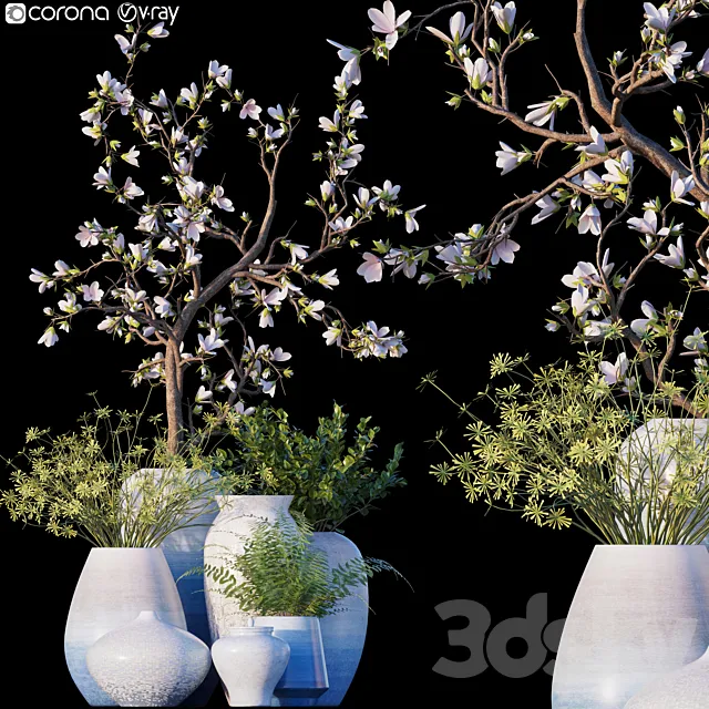 Magnolia _ Microsorum pteropus 3D Model