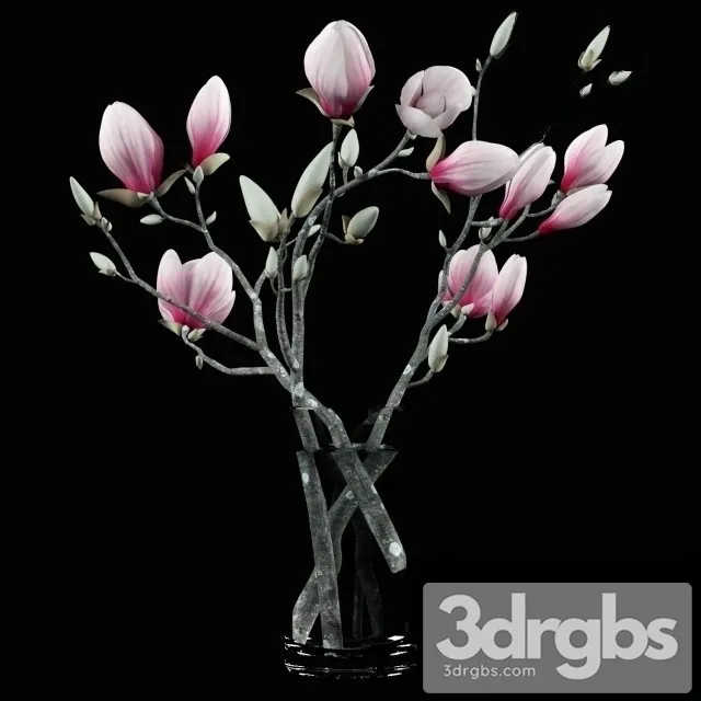 Magnolia Bouquet 3D Model Free
