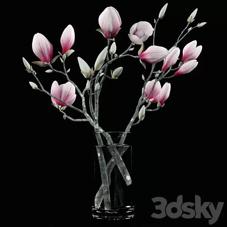 Magnolia Bouquet 3D Model