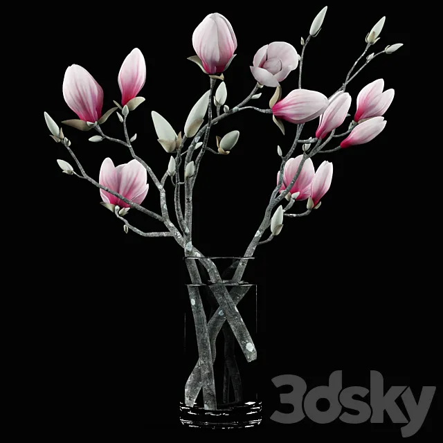 Magnolia Bouquet 3DModel