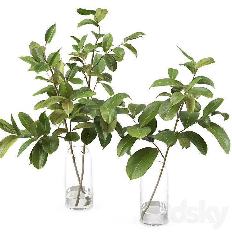 Magnolia Branch set 01 3D Model Free