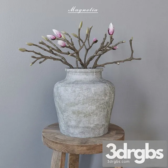 Magnolia In Concrete Vase 1 3D Model Free