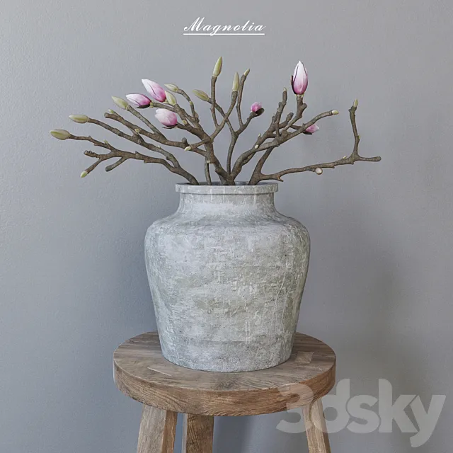 Magnolia in concrete vase 3D Model