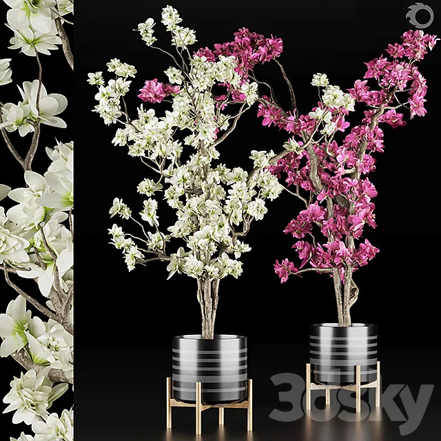 magnolia vol 1 3DModel