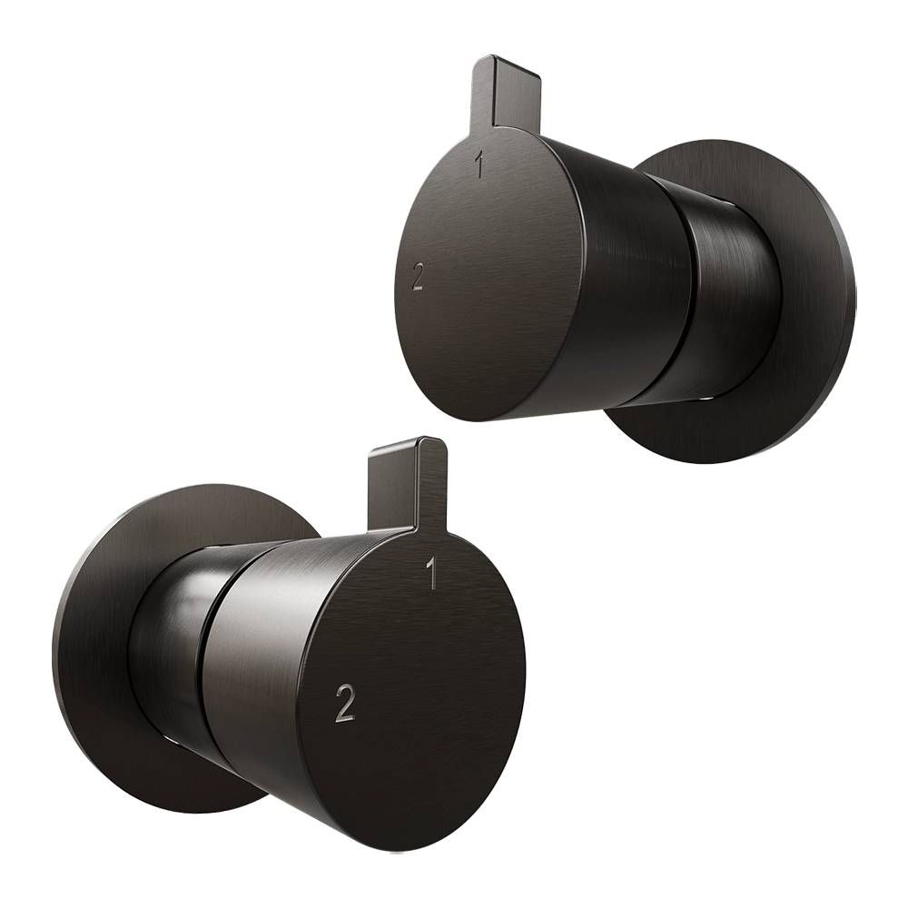 MAIER - 2-way concealed diverter AC111 3D Model