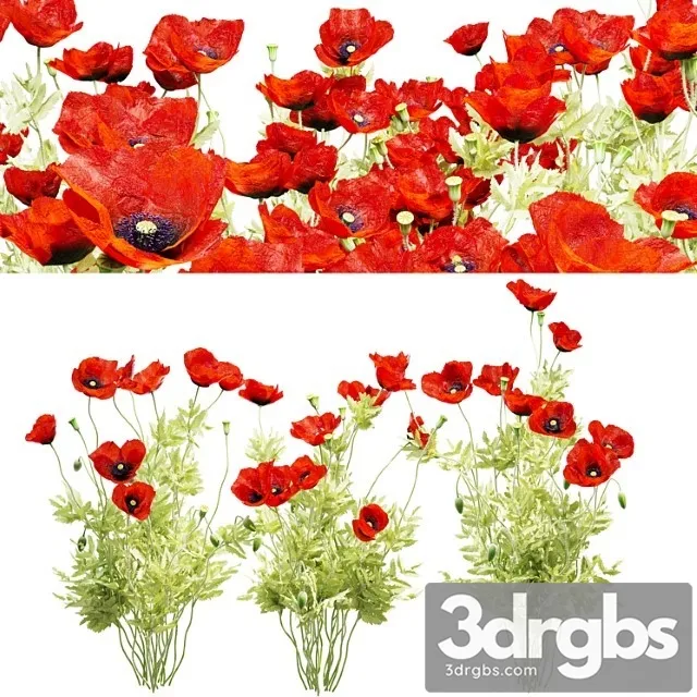 Mak Polevoi 3D Model Free