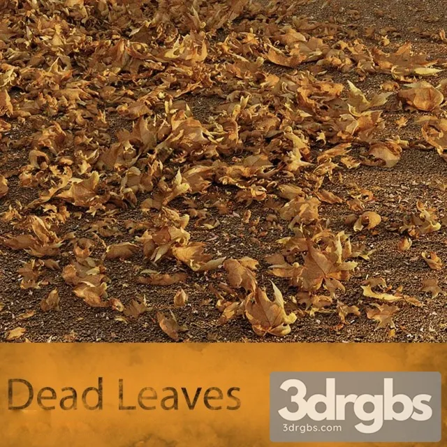 Maple Leaves 3D Model Download