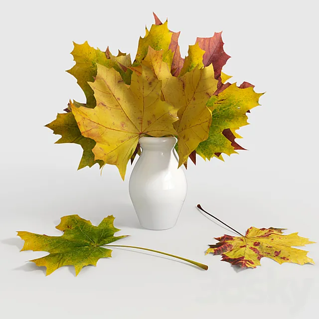 Maple leaves in a vase 3DModel