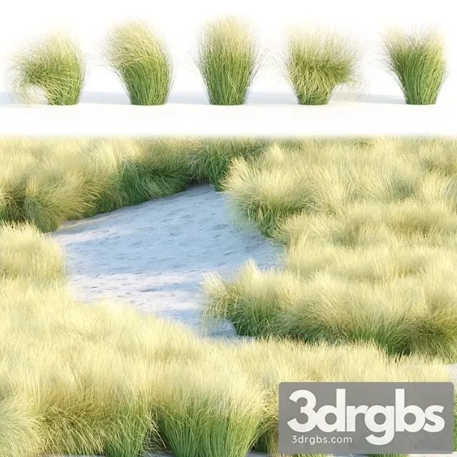 Maram Grass Collection Vol 155 3D Model Free