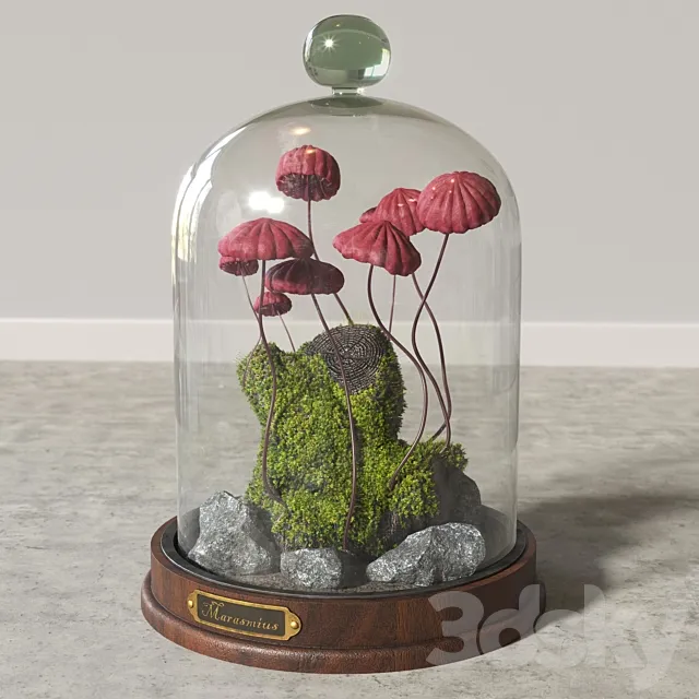 Marasmius_Florarium 3D Model