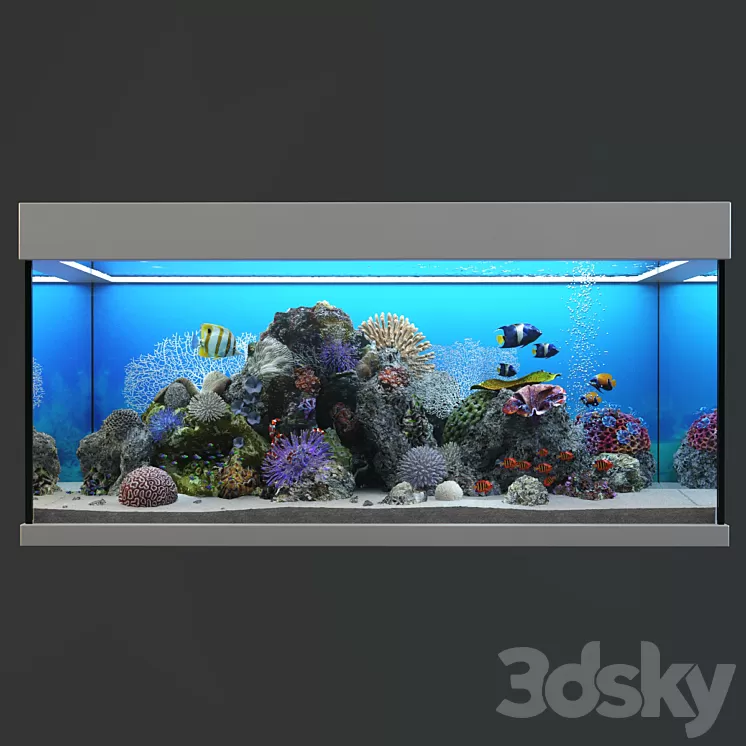 Marine Aquarium 3D Model Free