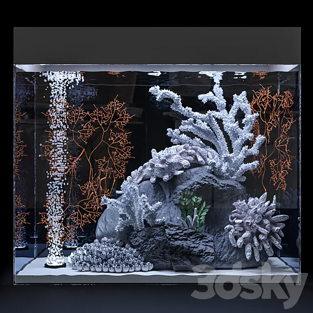 Marine aquarium 3DModel