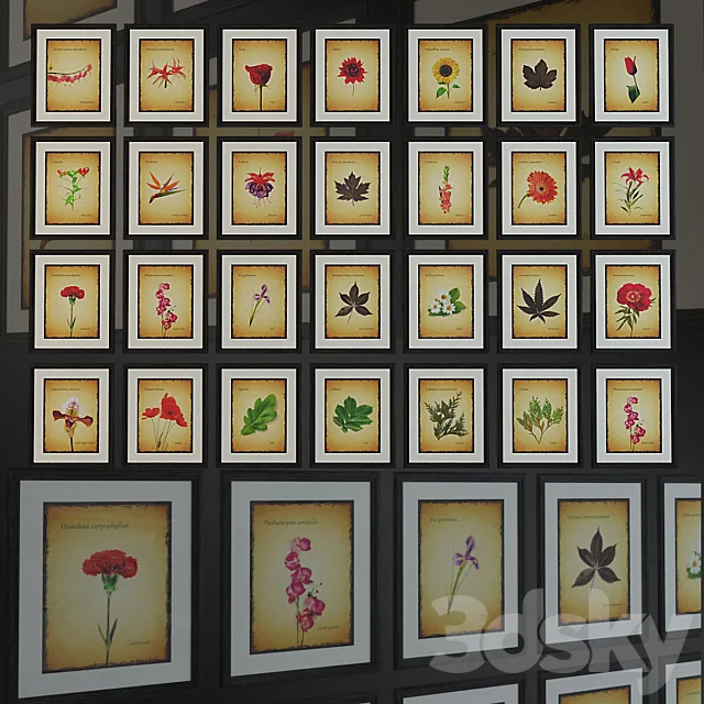 Mark Rogan - Botanical Potpourri. Poster. 3D Model