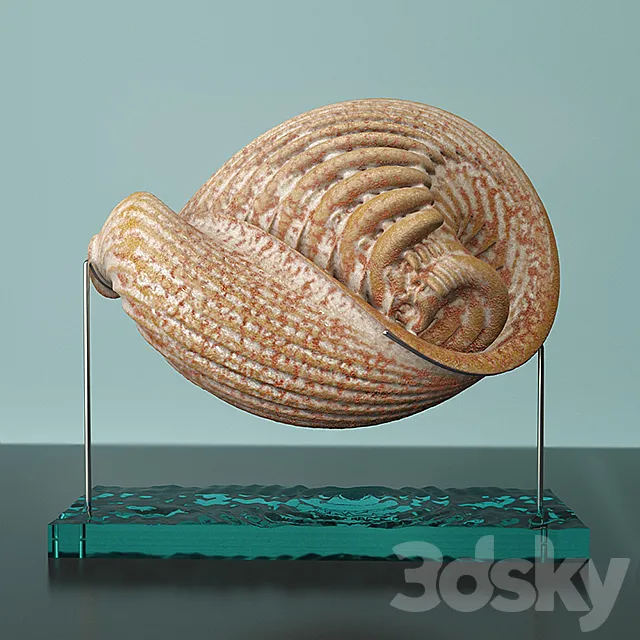 «Martian Seashell» 3D Model