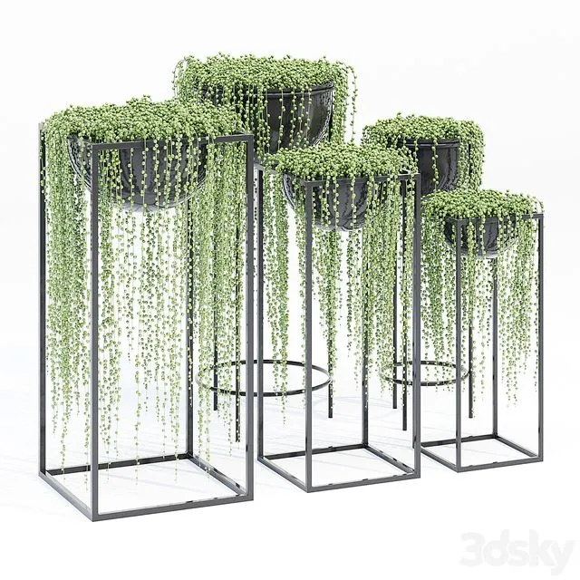 Matson tiara 3D Model