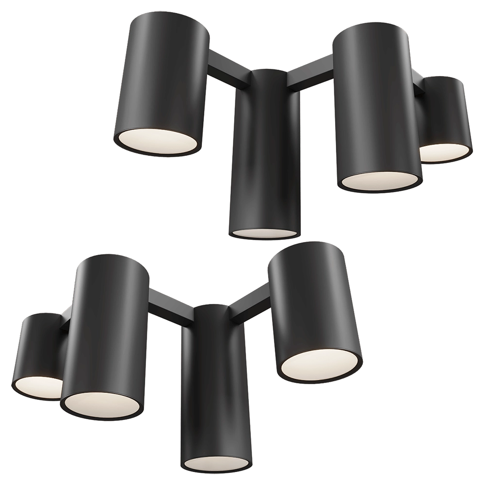 Maxlight - Ceiling lamp Laxer C0227 3D Model