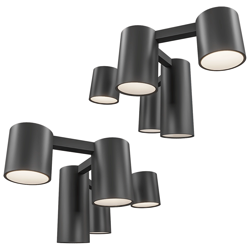 Maxlight - Ceiling lamp Laxer C0229 3D Model
