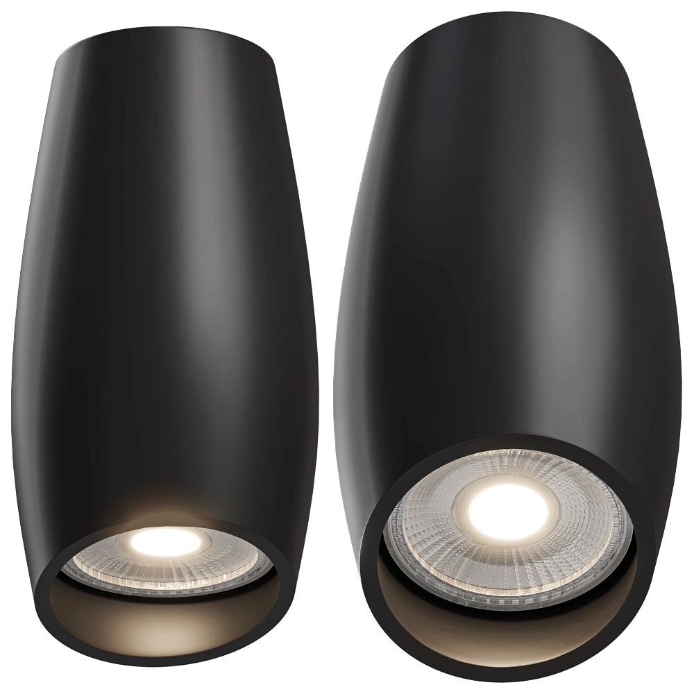 Maxlight - Ceiling lamp Love C0158 3D Model