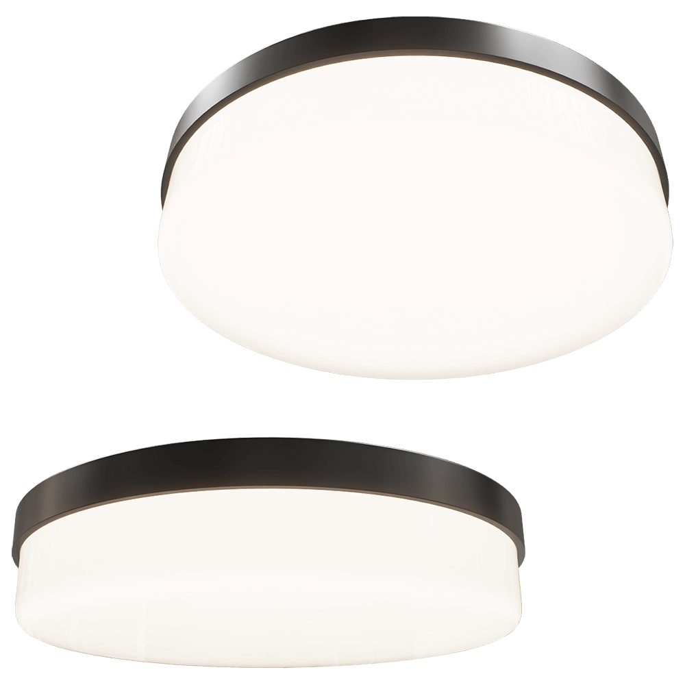 Maxlight - Ceiling lamp Oda C0194 3D Model