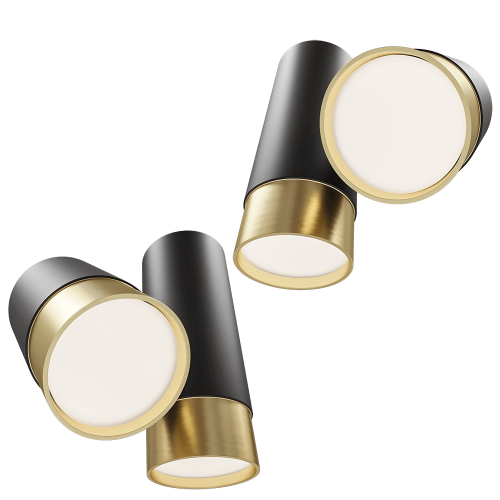 Maxlight - Ceiling lamp Puma C0195 3D Model