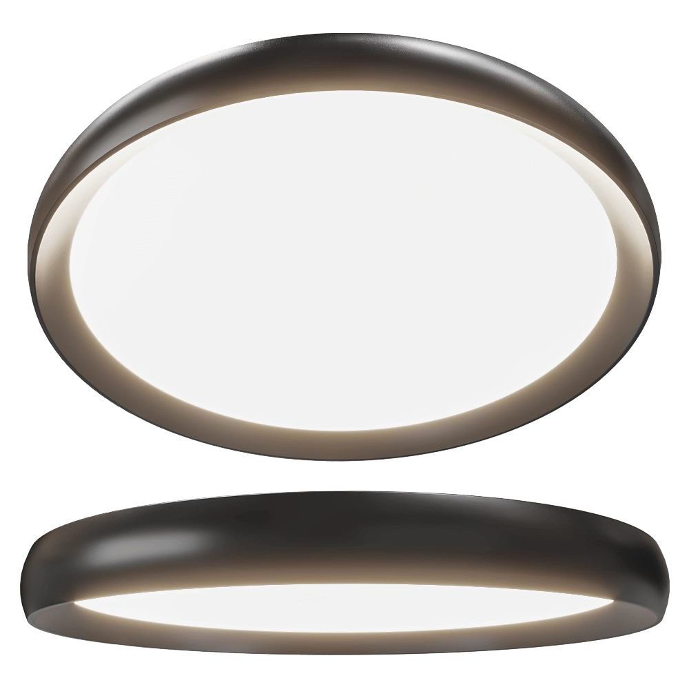 Maxlight - Ceiling lamp VIK C0237 3D Model