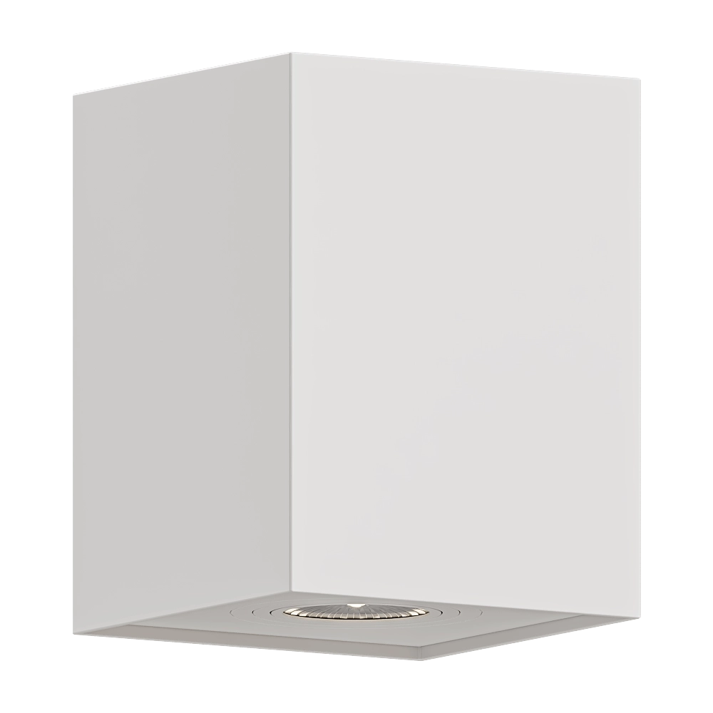 Maxlight - Ceiling light Basic Square C0070 3D Model