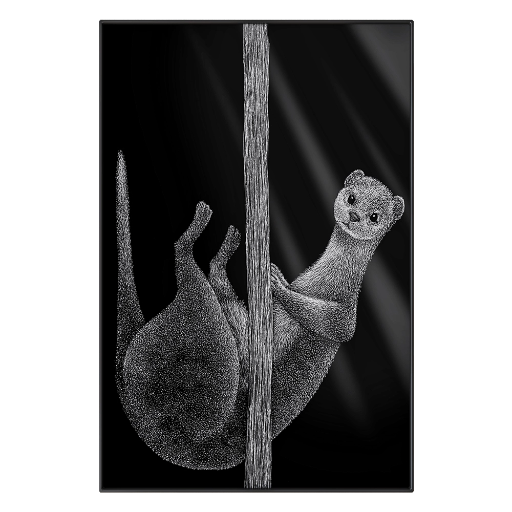 Maxlight - Picture LMR02 3D Model