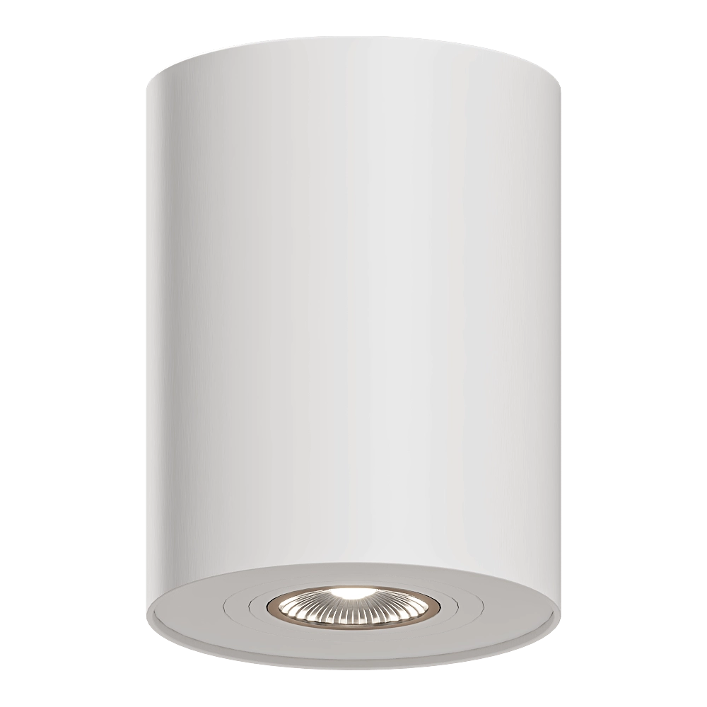 Maxlight - Spot light C0067 3D Model