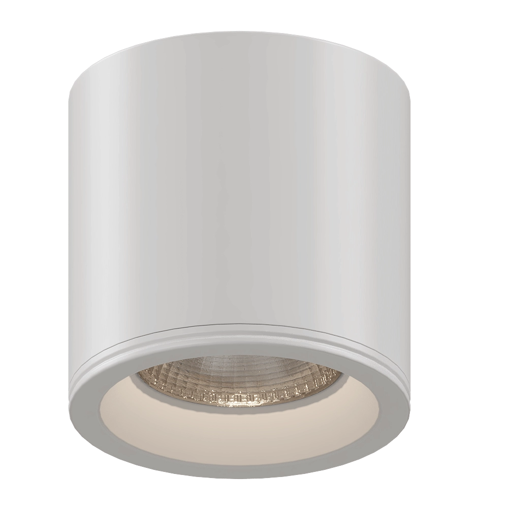 Maxlight - Spot light Form C0215 3D Model